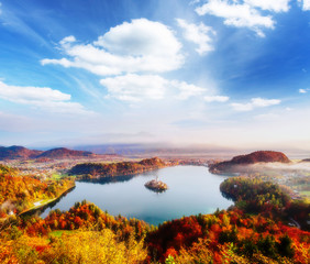 Fototapeta premium Aerial view of the island on alpine lake Bled. Location place Julian Alps, Slovenia, Europe.