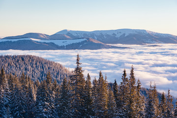 View of the misty valley. Location Carpathian, Ukraine, Europe.