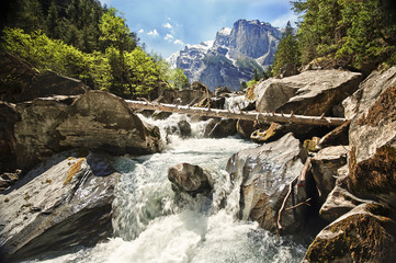 Wildbach mit toter Fichte in der Kanderklus am Ausgang des Gasterentals im Berner Oberland