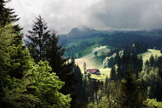 Bauernhof im Eriz (Berner Voralpen) umgeben von Bergmischwald (Plenterwald)