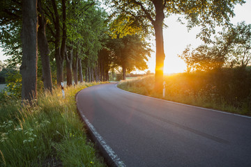 Landstraße in der Abendsonne