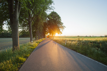 Landstraße in der Abendsonne
