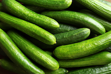Many green fresh cucumbers as background © Africa Studio