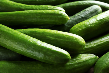 Many green fresh cucumbers as background