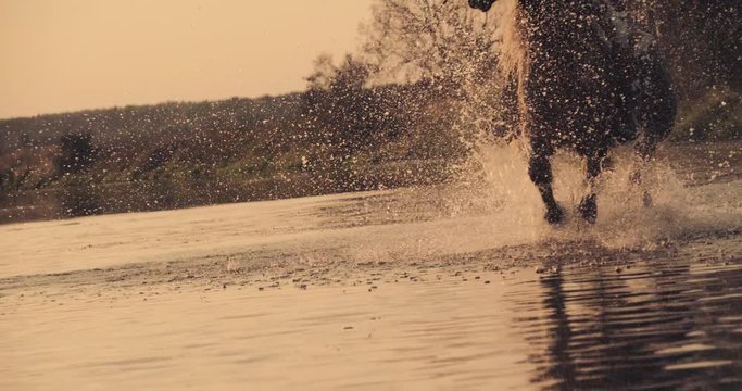 Slow motion 240fps shot of cowboy girl riding horse in water of sunset river