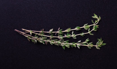 thyme