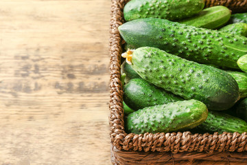 Many green fresh cucumbers in wicker basket on wooden table