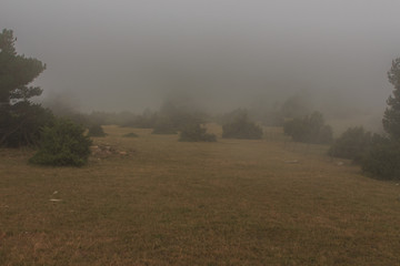 Obraz na płótnie Canvas The mountain looks mysterious walking through the fog