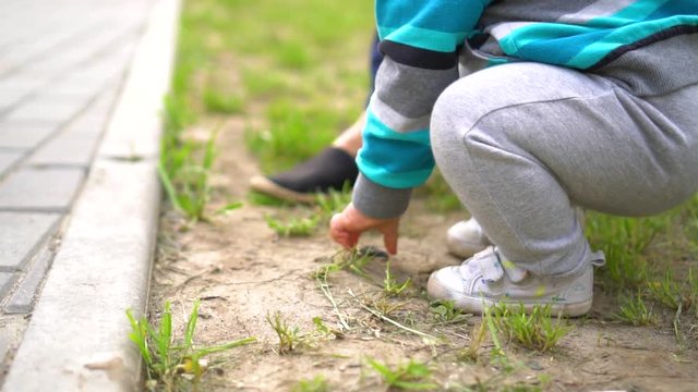 Baby boy walks on green lawn, finds a stone and touches it