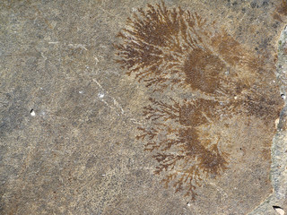 Rock and marble wall texture background