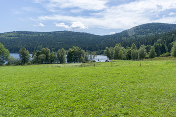Fototapeta na wymiar The Schluchsee lake in the German Black Forest