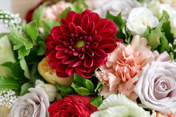 red dahlias. beautiful bouquet made of different flowers on grey background. colorful color mix flower. close-up