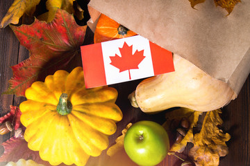 Happy Thanksgiving Day in Canada. Vegetables, pumpkins, squash, apples, maple and oak leaves, acorns on a wooden background. Harvest and yellow autumn leaves on a wooden table.