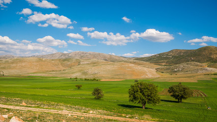 Fototapeta na wymiar Amazing green fields and hills. Turkey