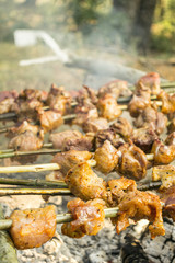 Barbecue skewers