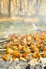 Barbecue skewers