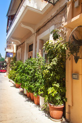 Fototapeta na wymiar Plants in the pots on a narrow street of the old town of Rethymno. Crete, Greece