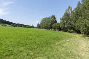 Obraz premium The Schluchsee lake in the German Black Forest