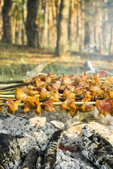 Barbecue skewers
