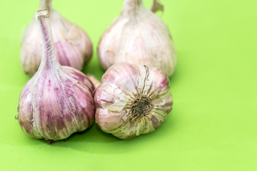 Garlic isolated on green background close up