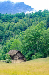 Chalet in the Woods