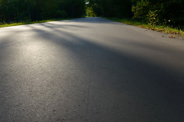 Asphalt road passing through the forest. Asphalt coating background texture. New fresh asphalt. Lights and shadows