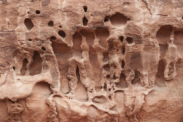 Swiss-cheese holes, called Tafoni structures found in Entrada and Navajo sandstone in and around Arches National Park in Moab Utah rock strata of the American Southwest is amazing to see