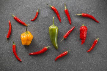 Jolokia, Chilischote, Jalapeno, Habanero auf Schieferplatte 02