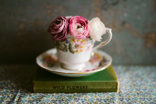 Fototapeta Pink Ranunculus flowers in a vintage teacup