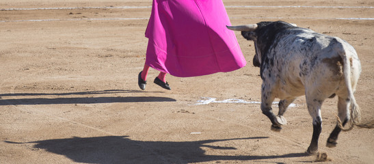 TORERO SALTANDO DELANTE DEL TORO EN UNA PLAZA DE TOROS
