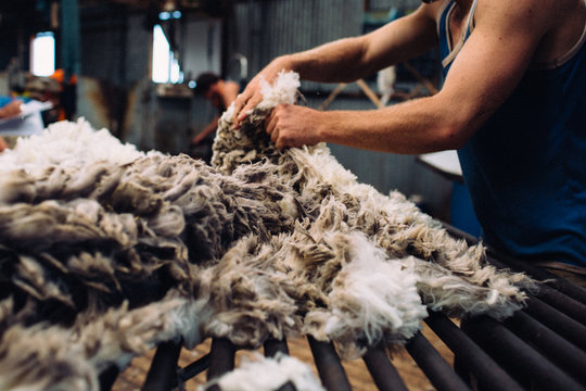 Australian wool