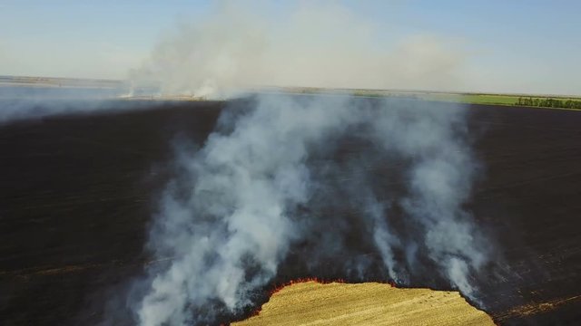 Fire in a field with stubble wheat. Aerial survey