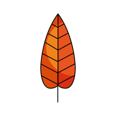 autumn leaf season natural foliage flora vector illustration