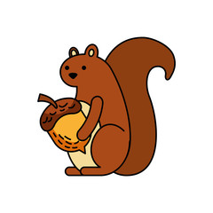autumn season squirrel acorn forest vector illustration