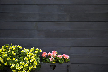 Dark Wooden Wall with Flowers