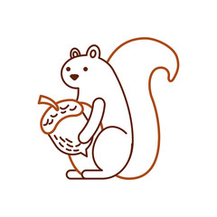 autumn season squirrel acorn forest vector illustration