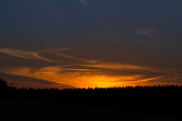 Fototapeta premium Wald gegen Sonnenuntergang
