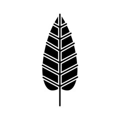 autumn leaf season natural foliage flora vector illustration