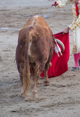 TORERO ENTRANDO A MATAR AL TORO