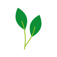 autumn tree branch leaves foliage botanical image vector illustration