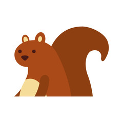 autumn season squirrel animal forest vector illustration