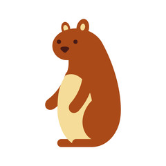 autumn season squirrel animal forest vector illustration