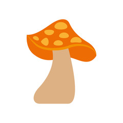 autumn mushroom natural flora forest vector illustration