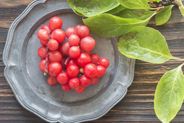 Chinese magnolia vine berries