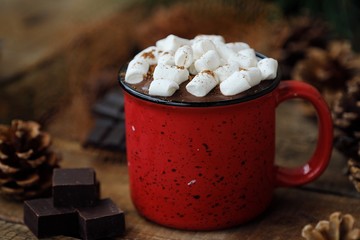 Delicious hot chocolate with marshmallows on the table 