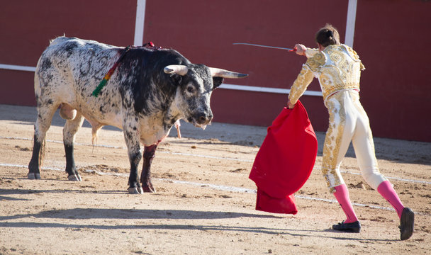 TORERO ENTRANDO A MATAR AL TORO