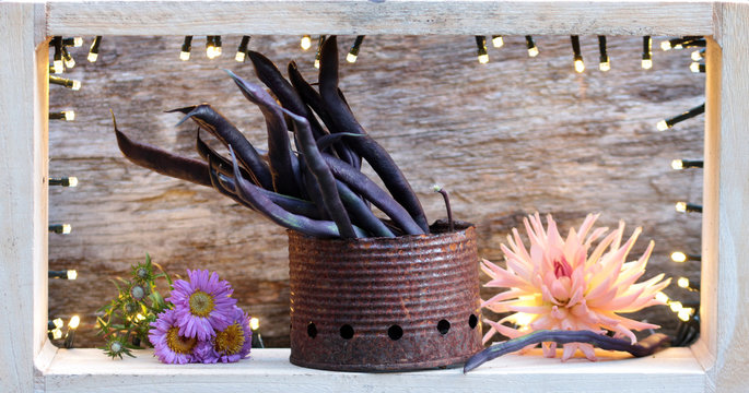 bohnen, stllleben in der d&auml;mmerung