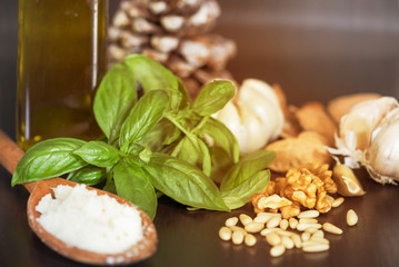 Ingredients for making green pesto sauce homemade with basil and pine, nuts, cheese,garlic in dark wood table background, Concept Food vintage style.