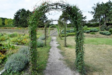 arch in the botanical garden