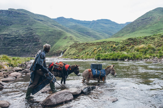 Basotho herdsman guiding his pack donkeys across a river in Lesotho